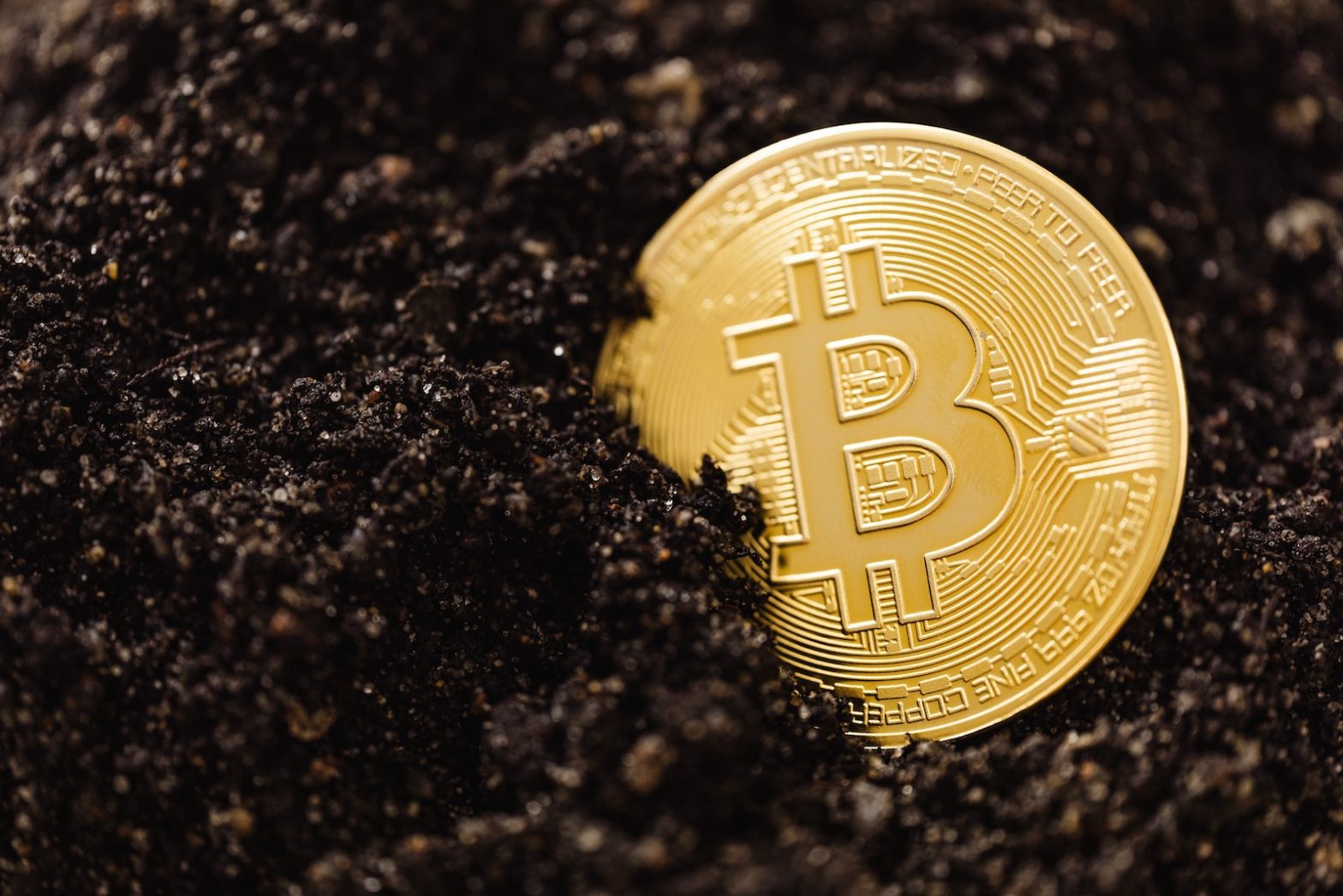 Is Crypto Dead?