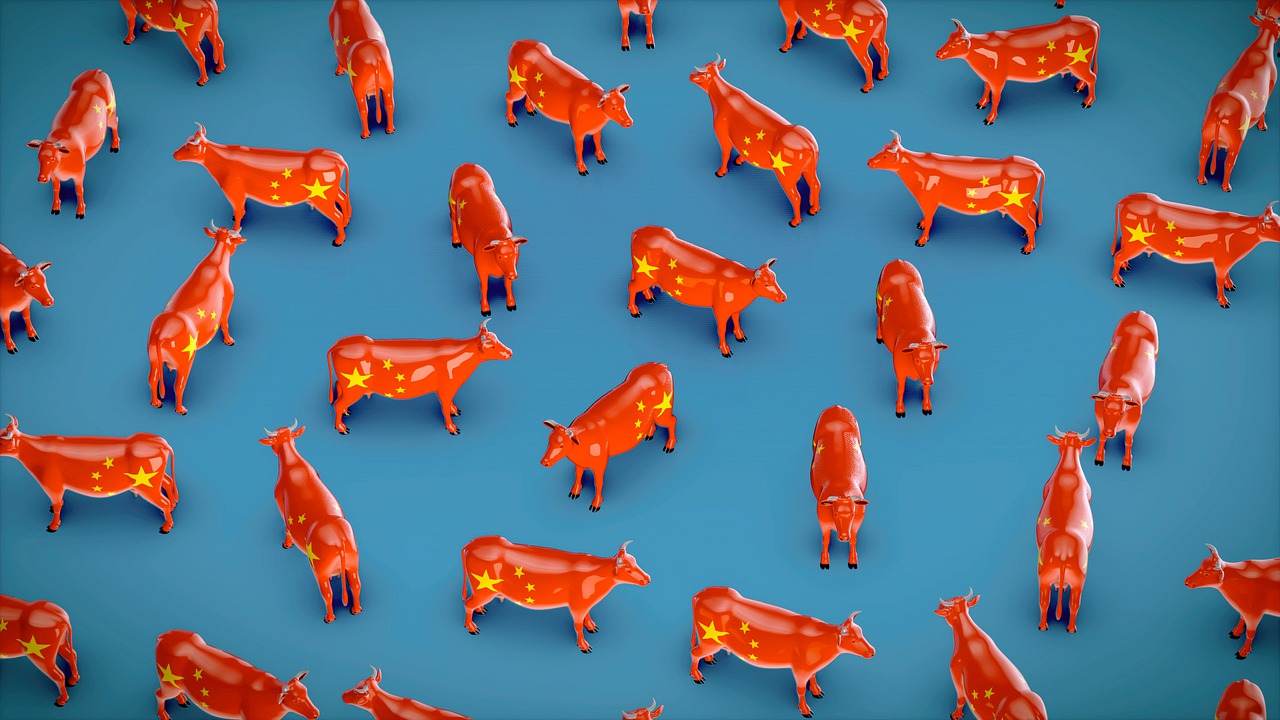 China Bulls in Equity Market